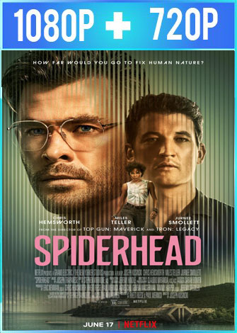 Cabeza de araña 2022 ES EN